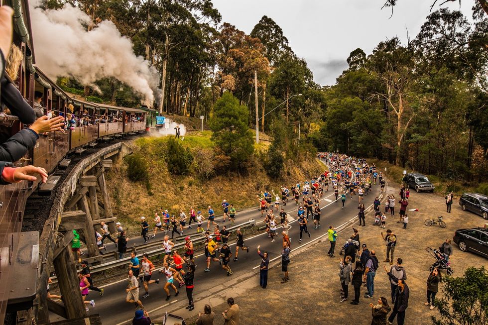 Photograph of runners at the Puffing Billy Running Festival, racing around a corner as the locomotive overtakes them above ground.