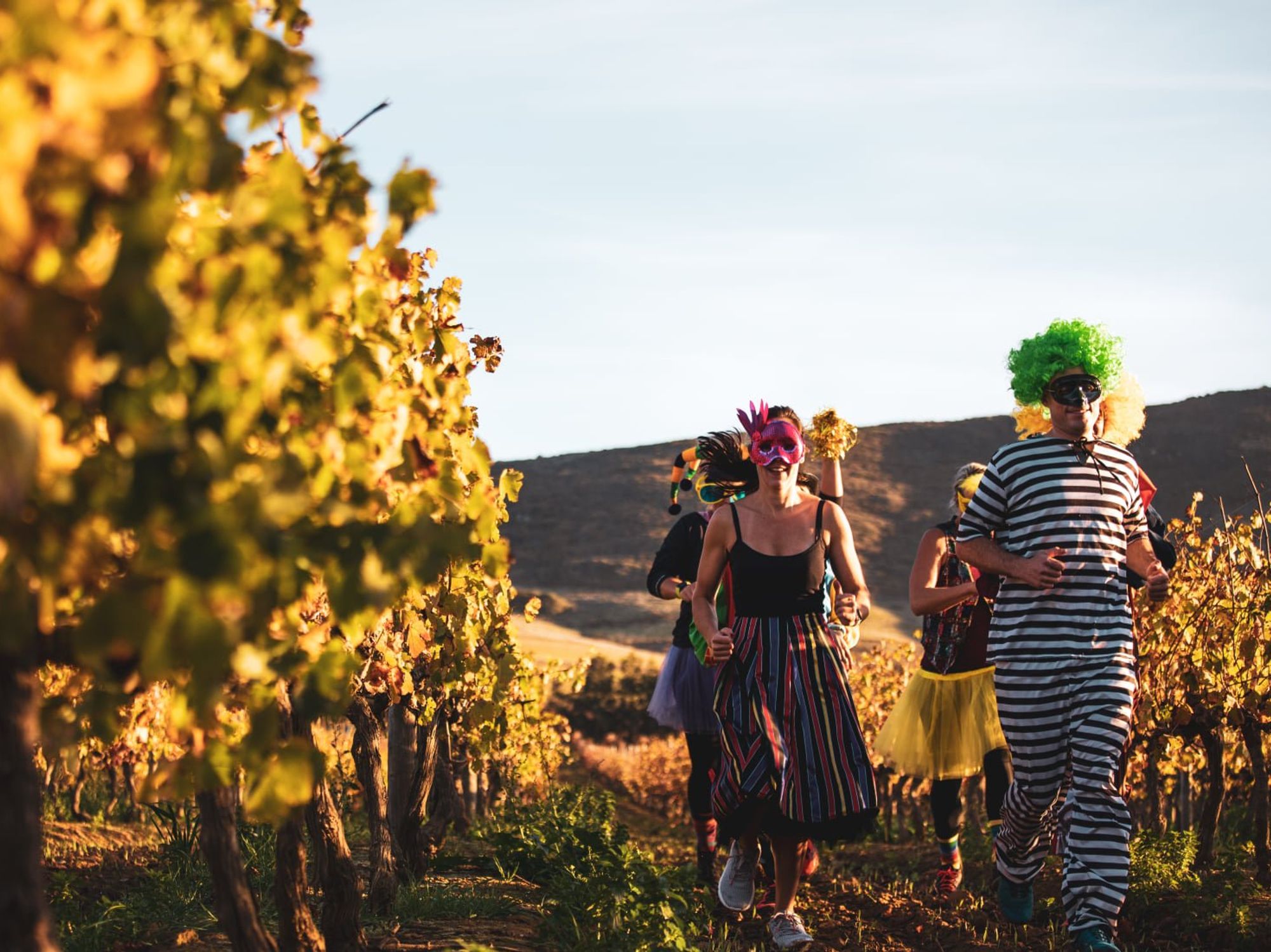 Photograph of runners dressed up in carnival costumes during the Cape Wine Marathon​. They are running next to vineyards on a hill.