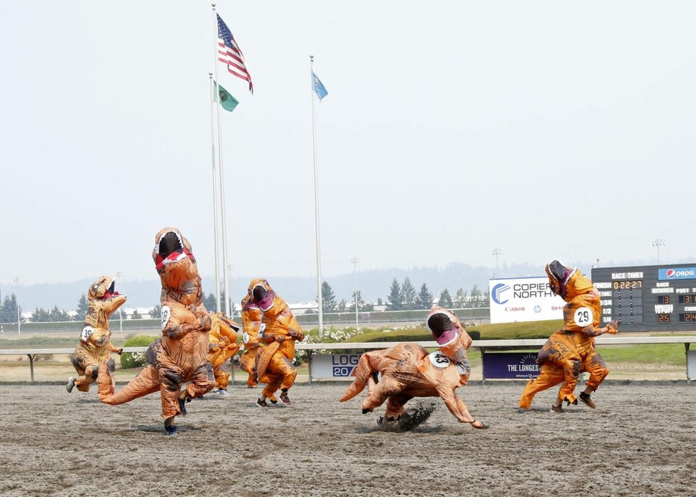 Photograph of runners dressed up in inflatable T-rex costumes racing one another. One of them is caught mid-fall.