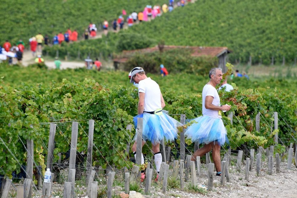 Photograph of two men dressed up in tutus taking a break during the Marathon des Châteaux du Médoc. They inspect some vinyards.