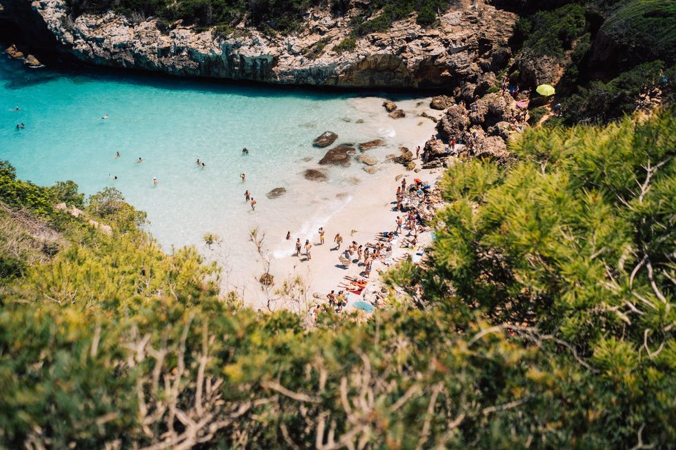 Photograph taken through high buses of a small bay in Mallorca with crystal clear water.
