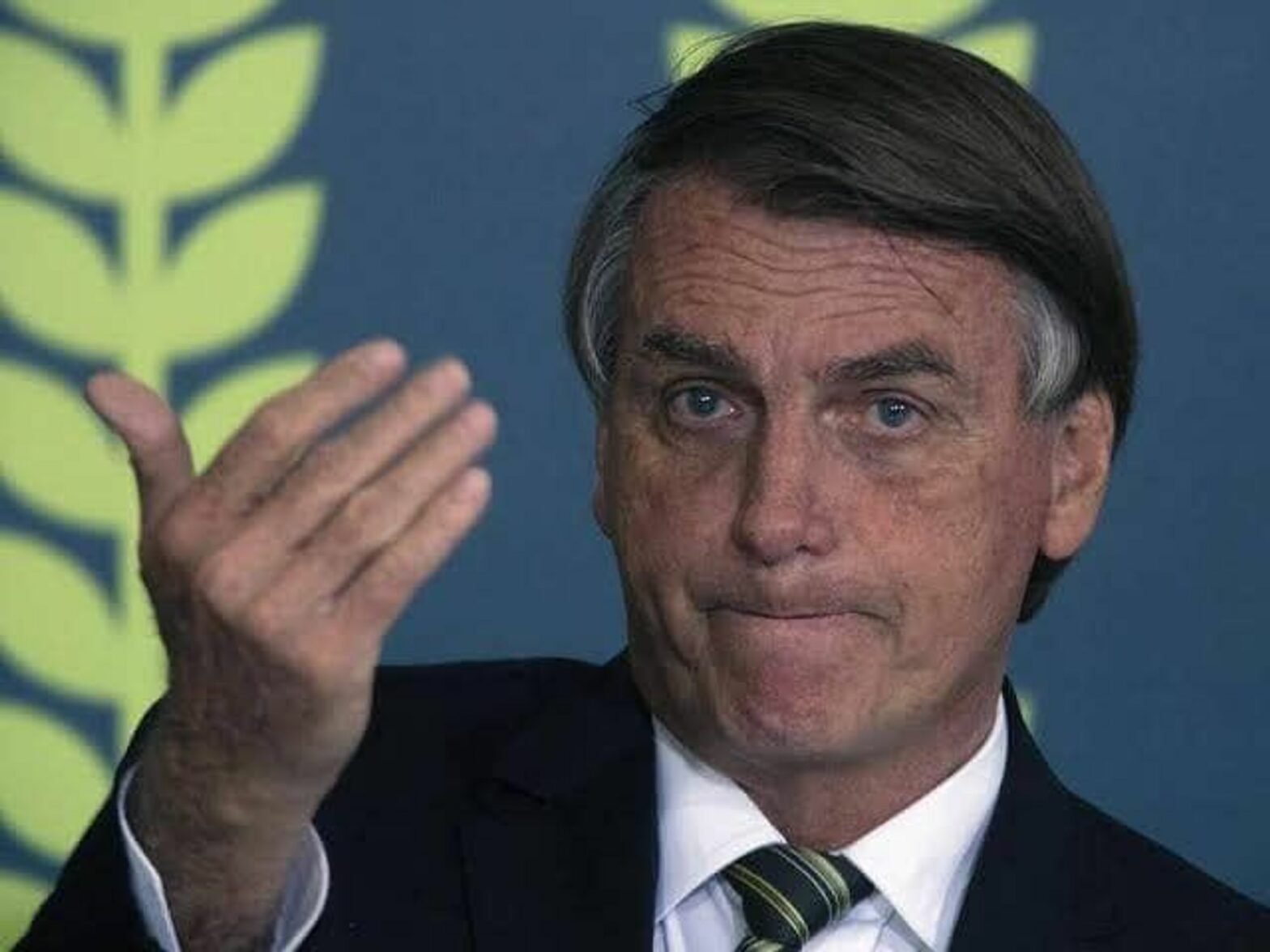 Picture of Brazilian President Jair Bolsonaro