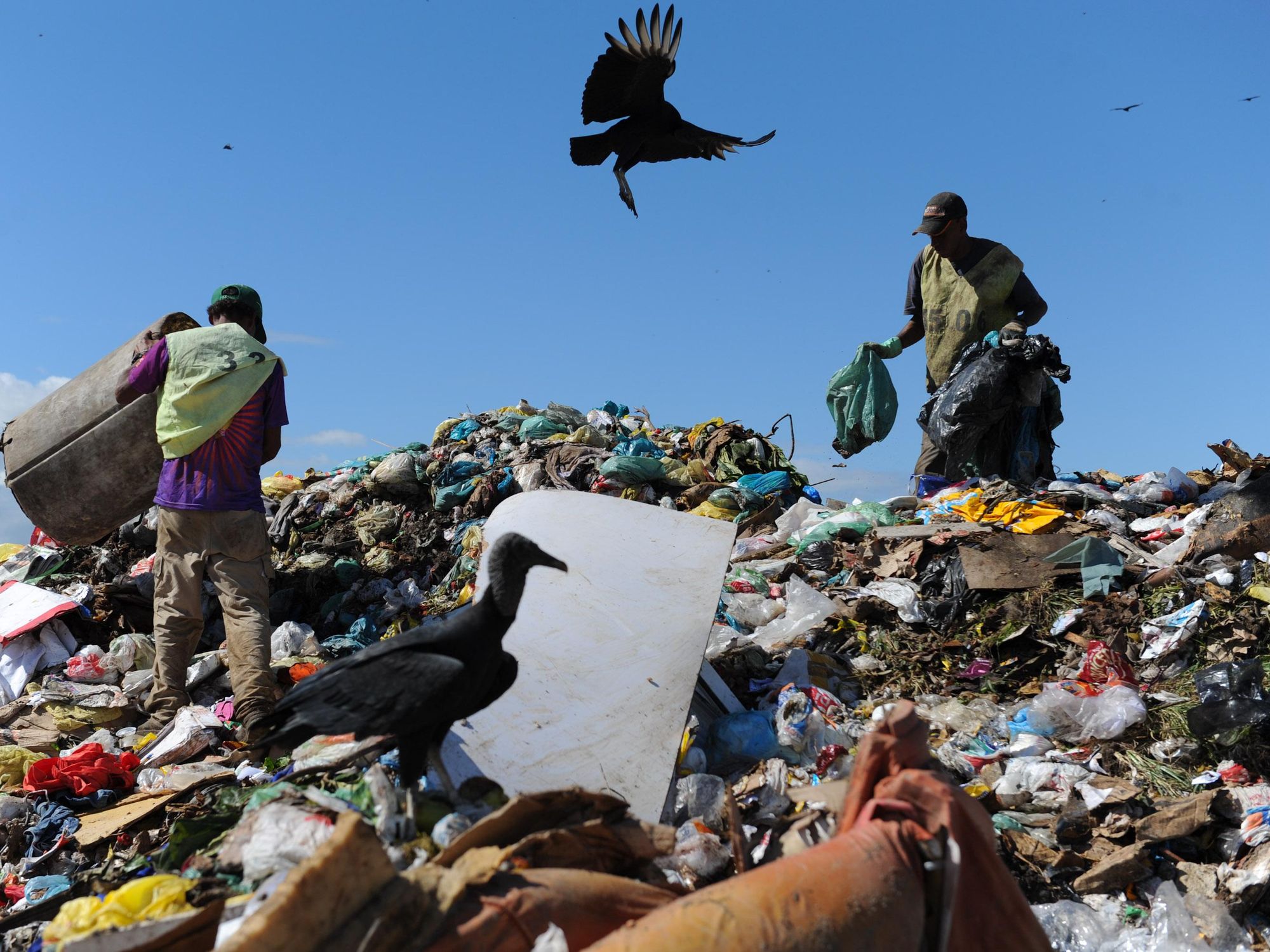 Picture of people sorting out through trash in Brazil