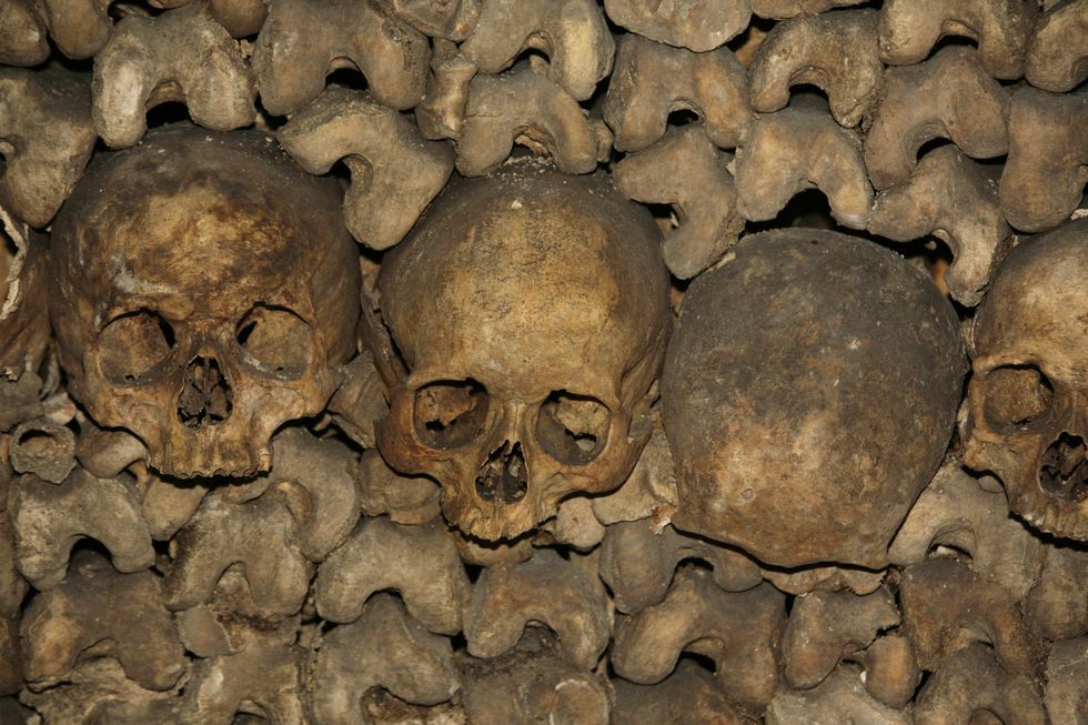 Picture of skulls in the catacombs in Paris