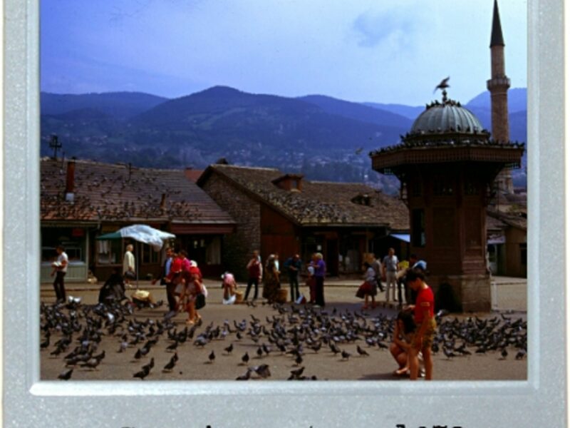 Pigeon Square