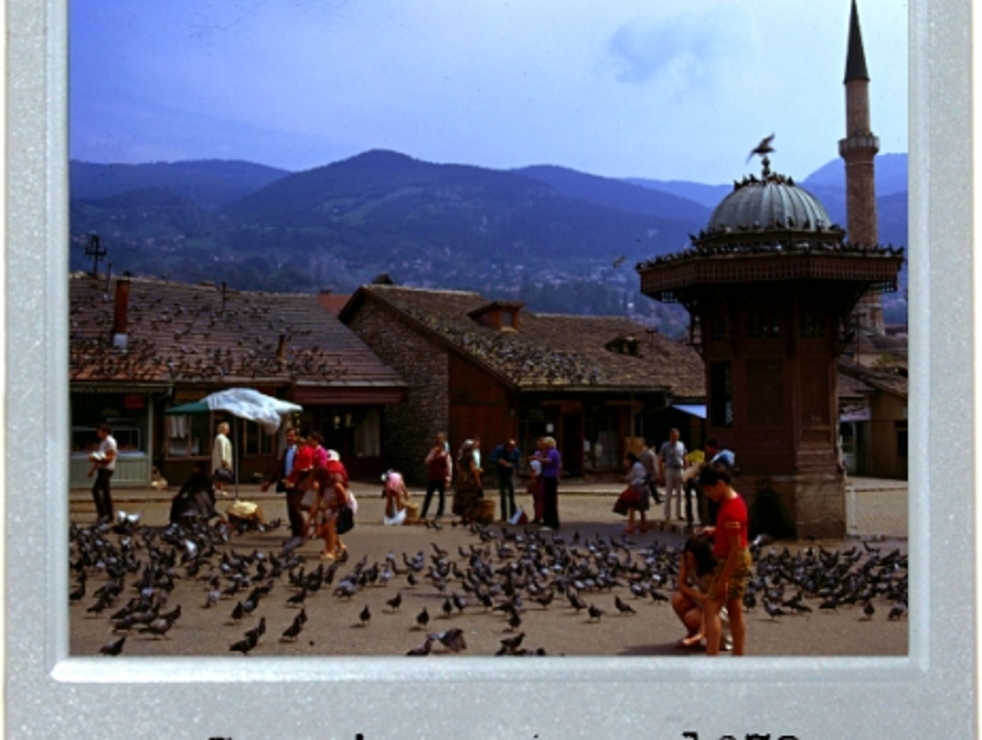 Pigeon Square