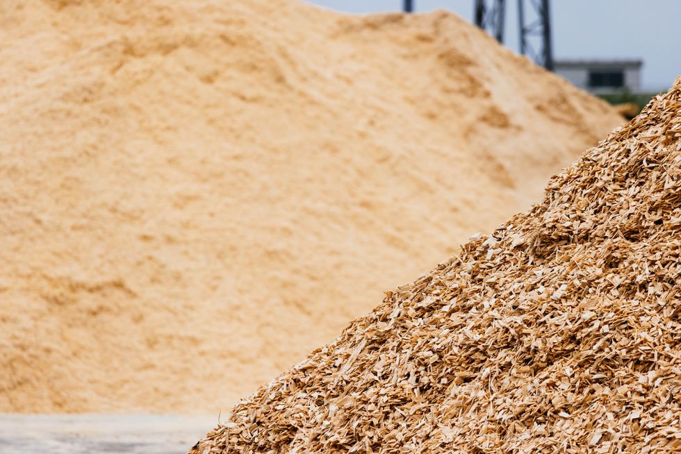Piles of coarse and fine sawdust lie on the site of a sawmill.