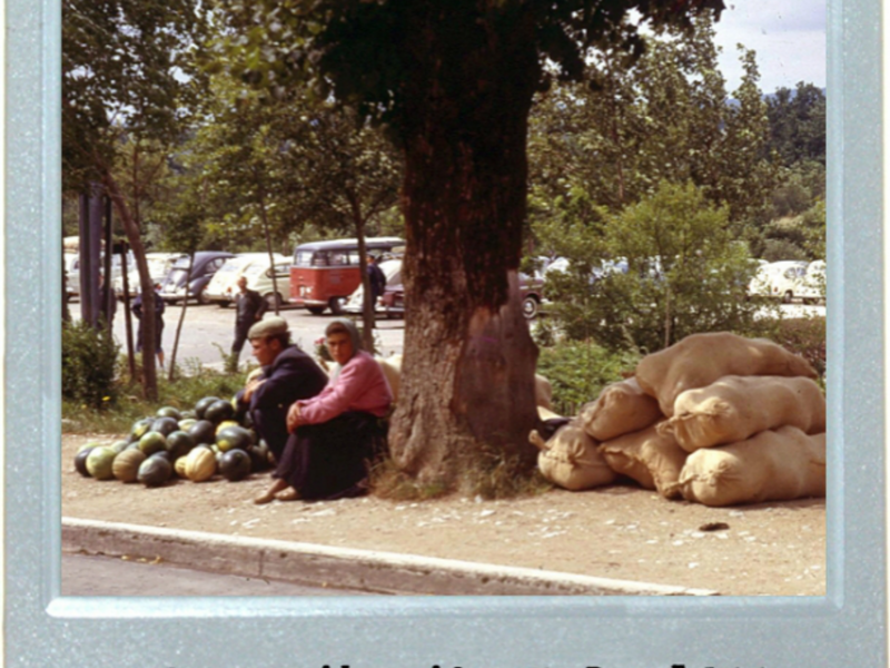 Pit Stop, Watermelon Seeds