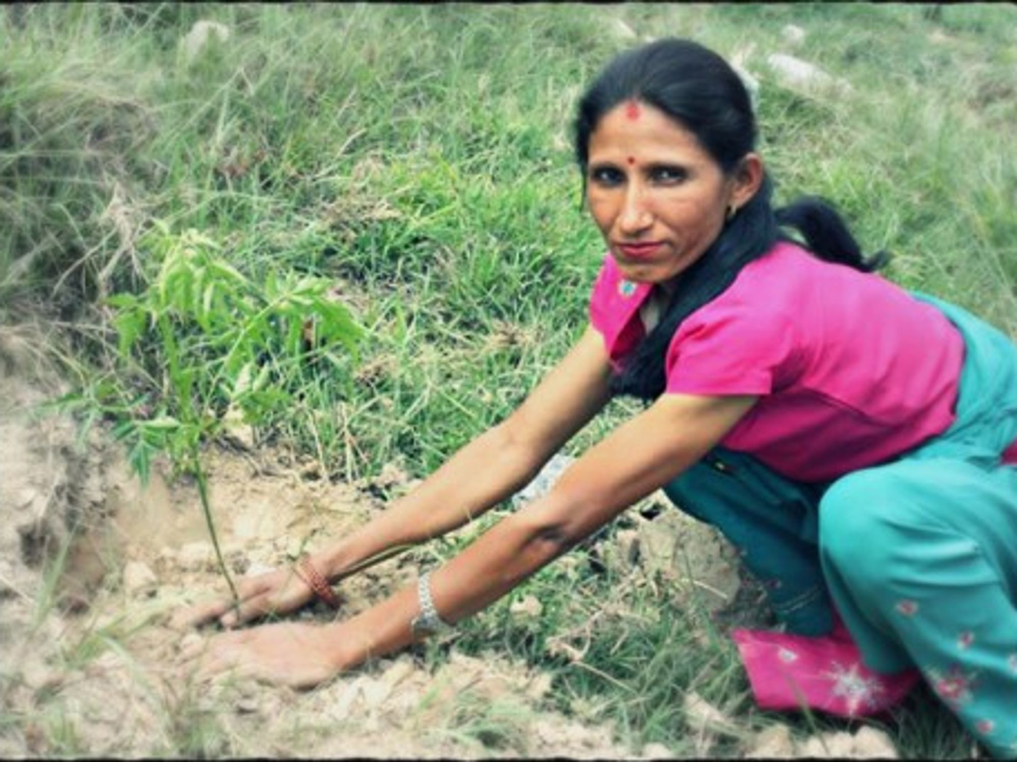 Planting a tree in Lubhu's Birthday Forest
