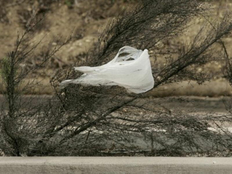 Plastic bags, a global problem