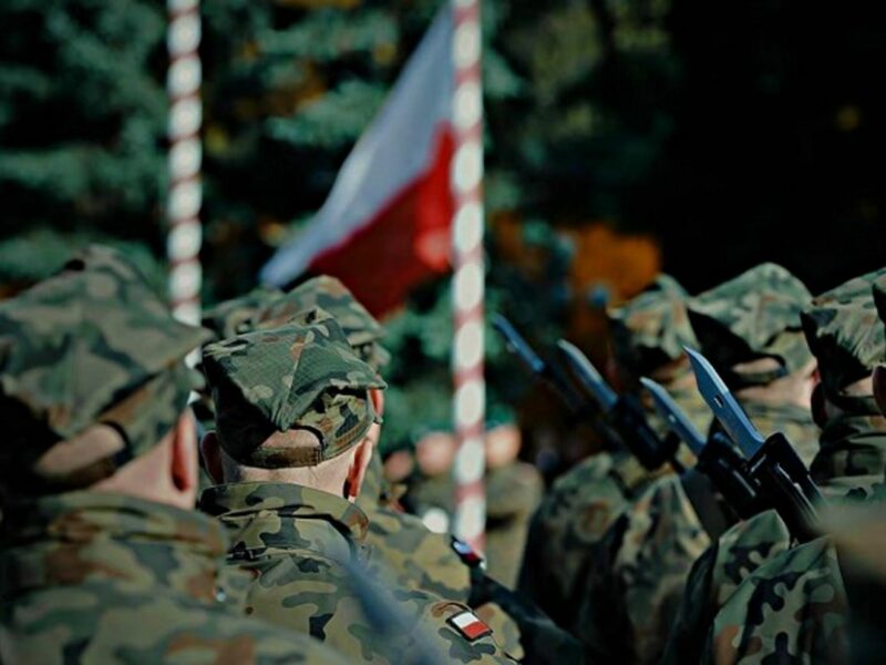Poland's volunteer WOT militia