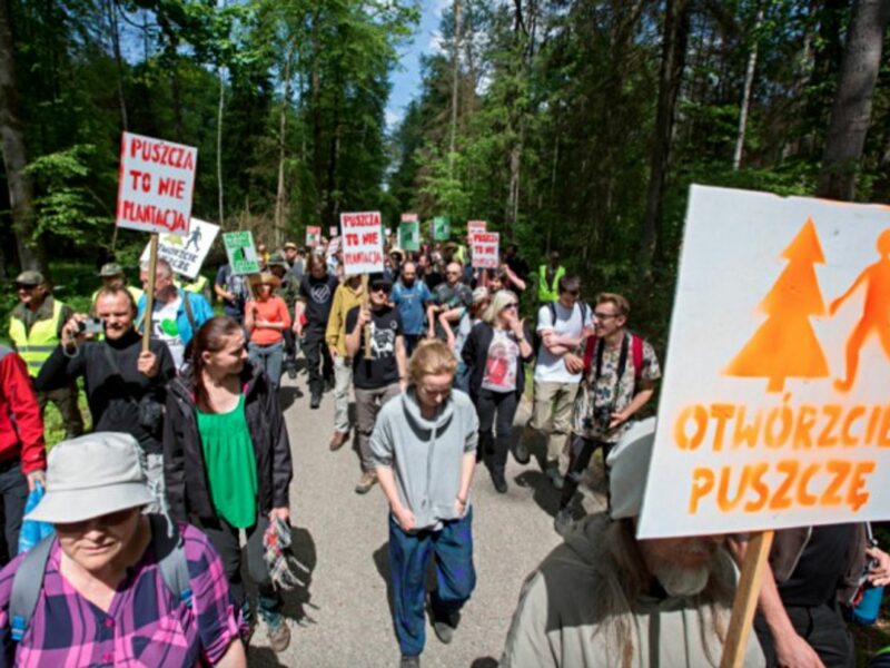 Poles march to save their primeval forest