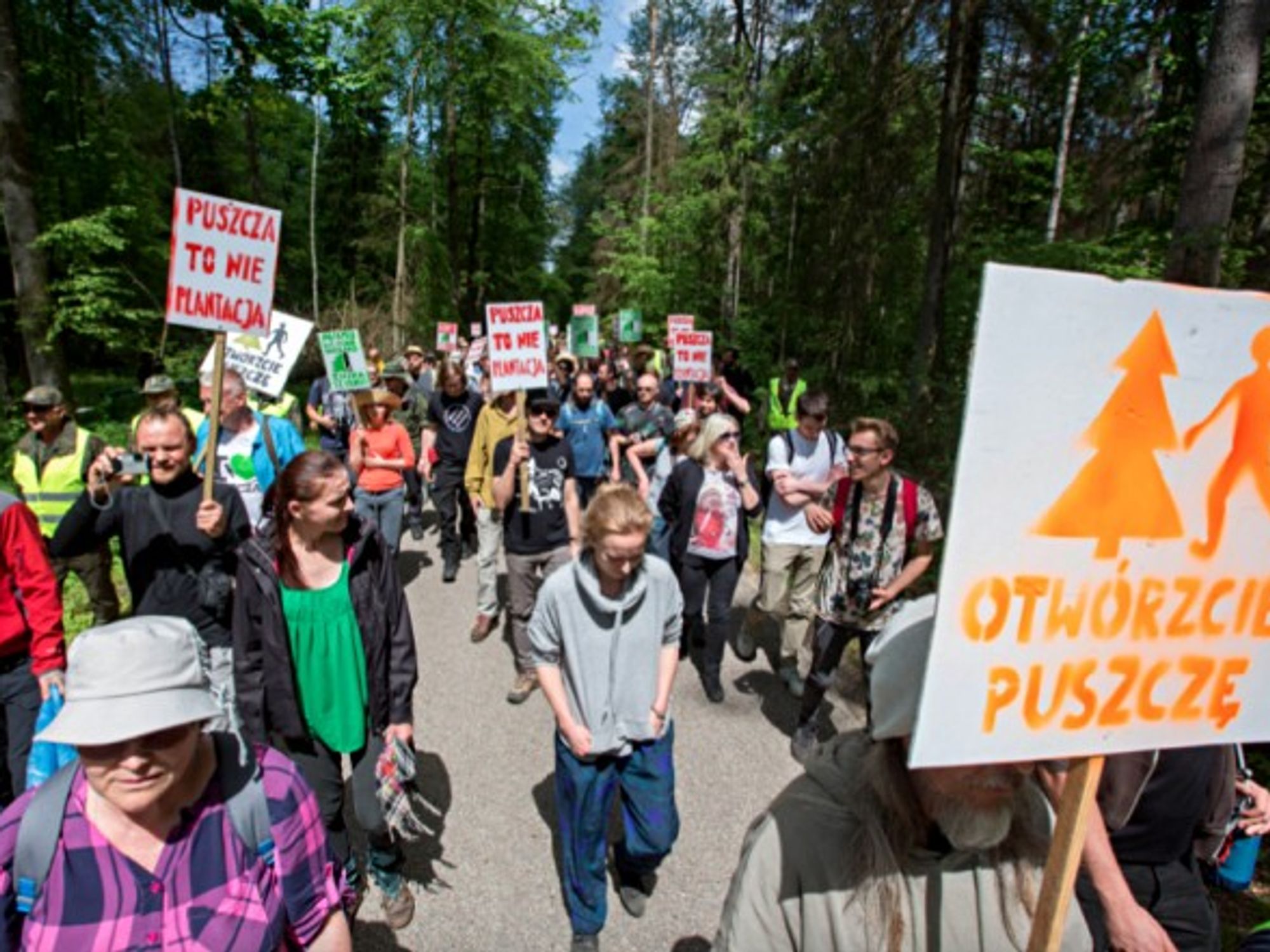 Poles march to save their primeval forest