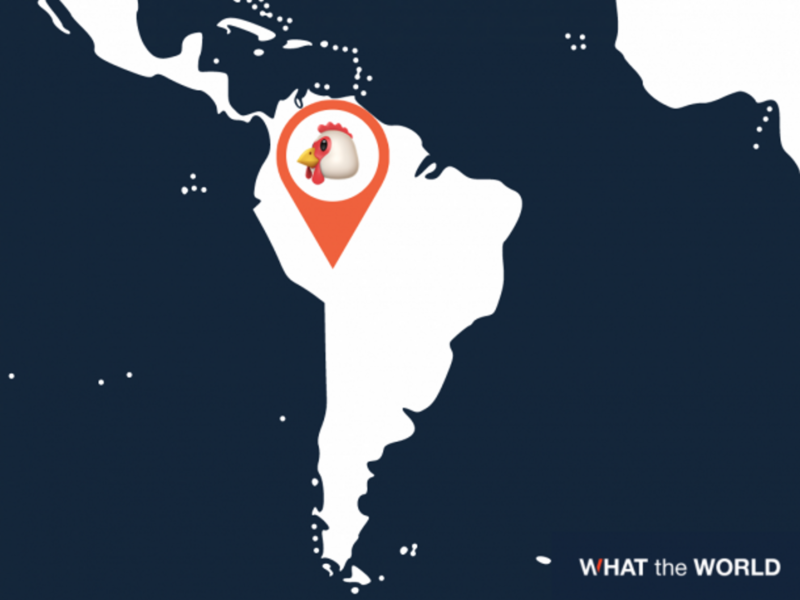 Pollo Vaccine? Chicken Truck Delivers COVID-19 Jabs To Bolivian City