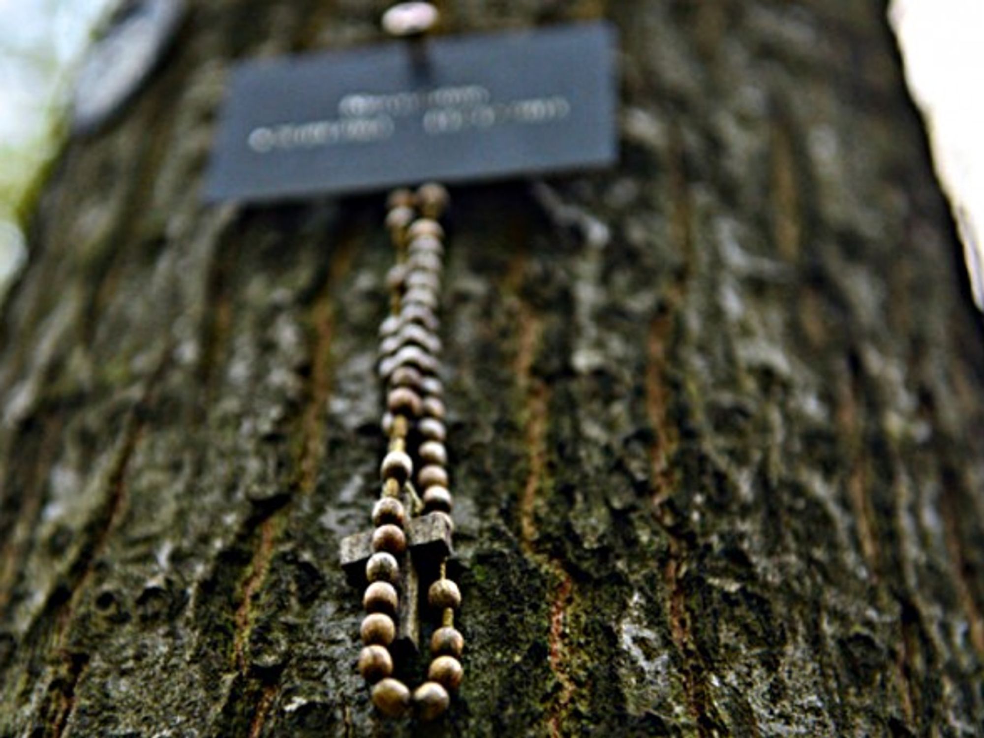Prayer beads below a name board on a tree at the Coburger Land Ruheforst forest cemetery in Germany.