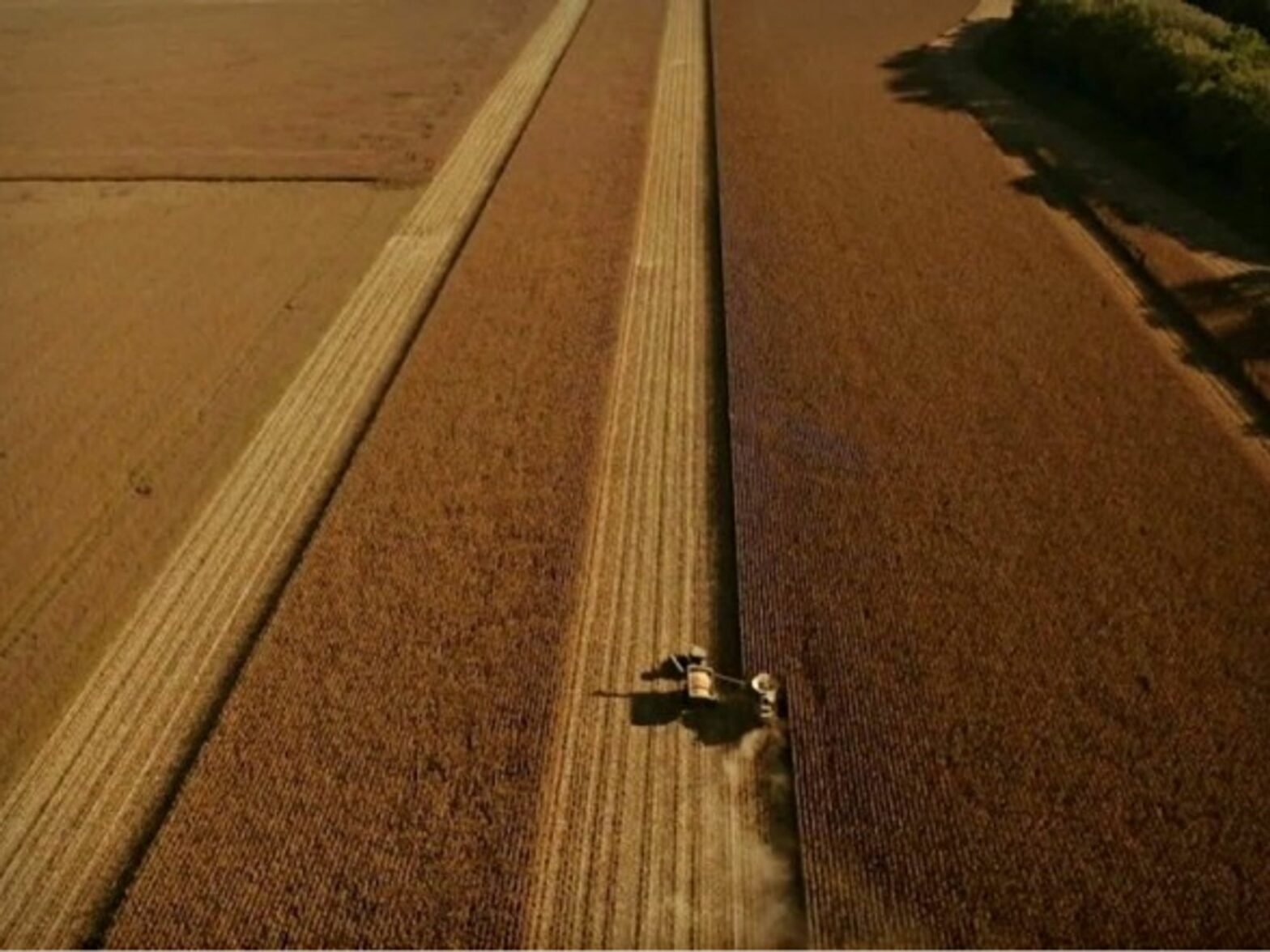 Precision farming in Argentina
