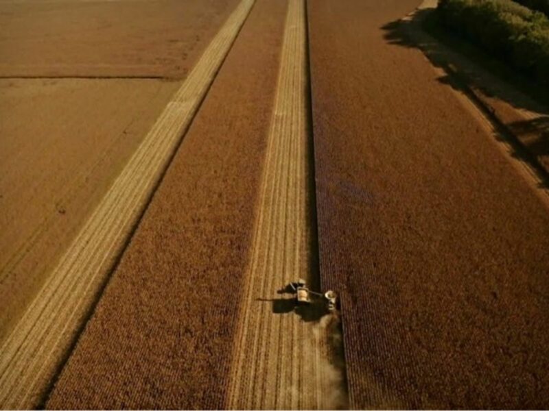 Precision farming in Argentina