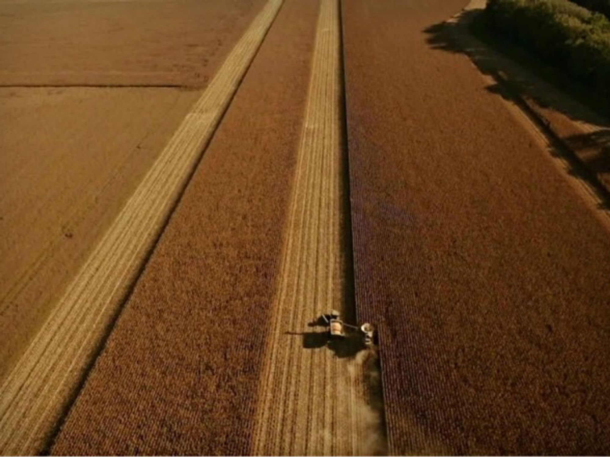 Precision farming in Argentina