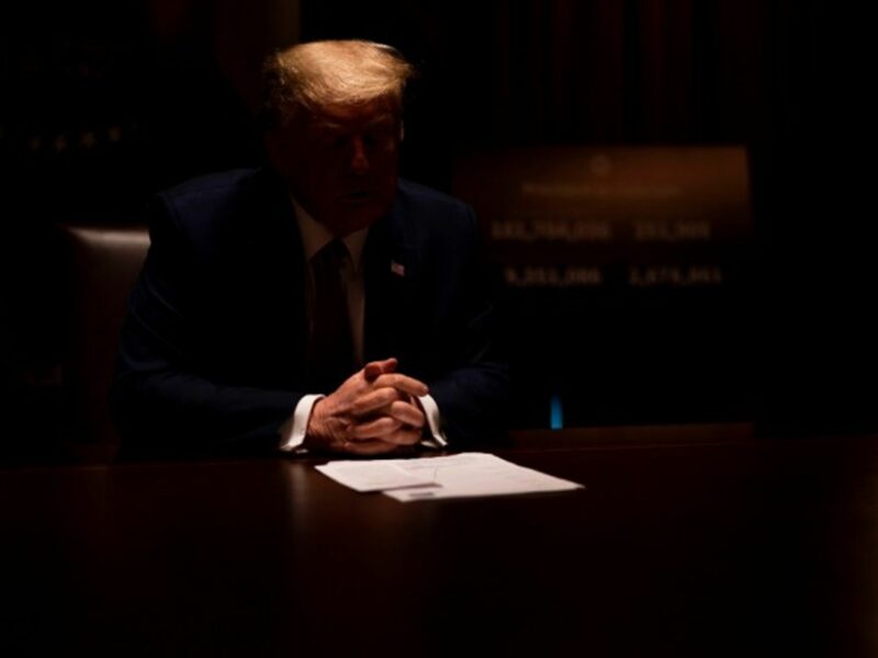 President Donald Trump in the shadows