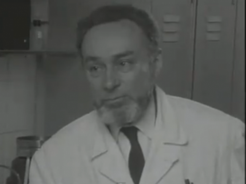 Primo Levi, author and chemist (RAI)