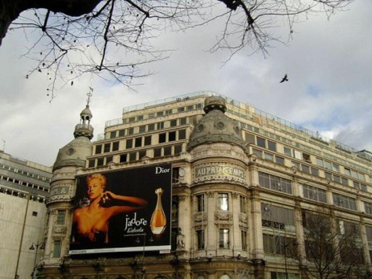 Printemps, in Paris (Frédérique Panassac)