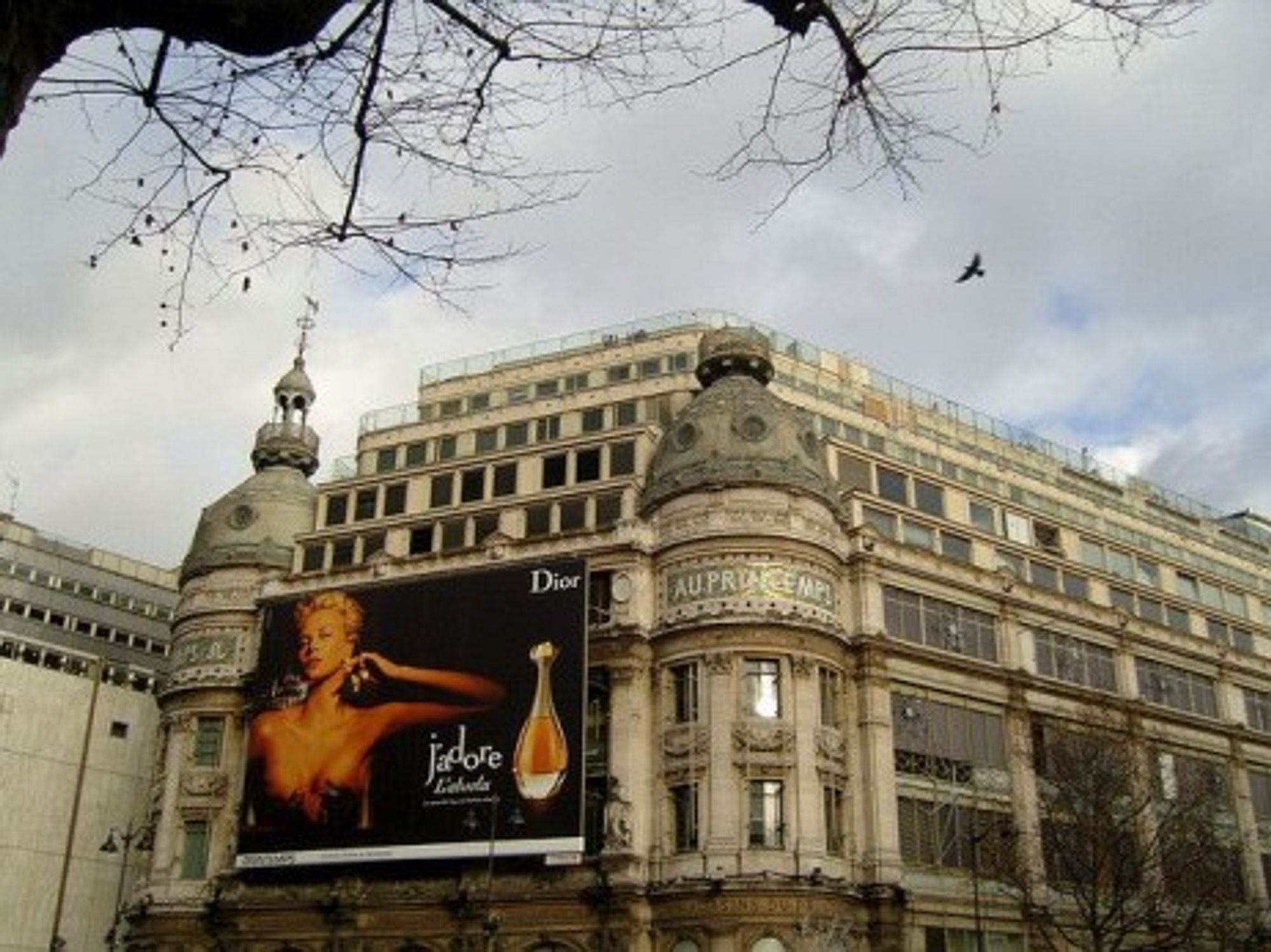 Printemps, in Paris (Frédérique Panassac)