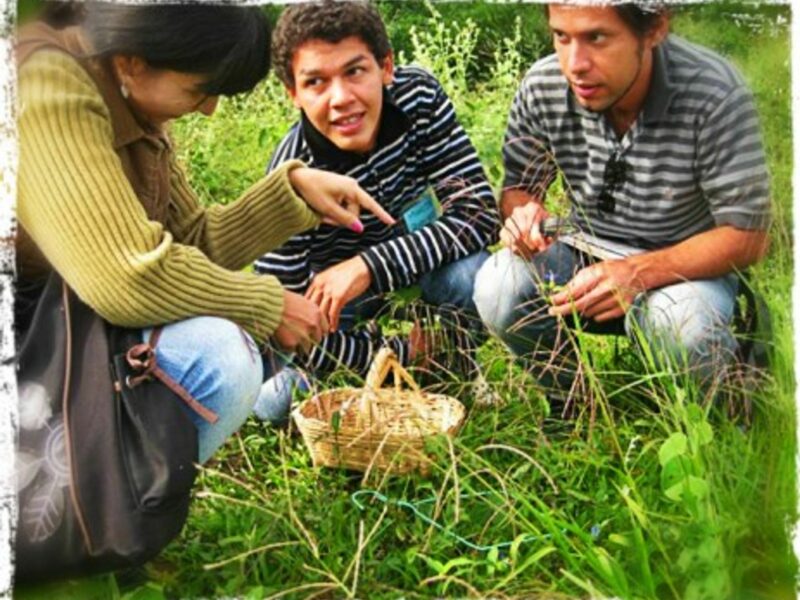 Projects to preserve medicinal plants are flourishing throughout the country