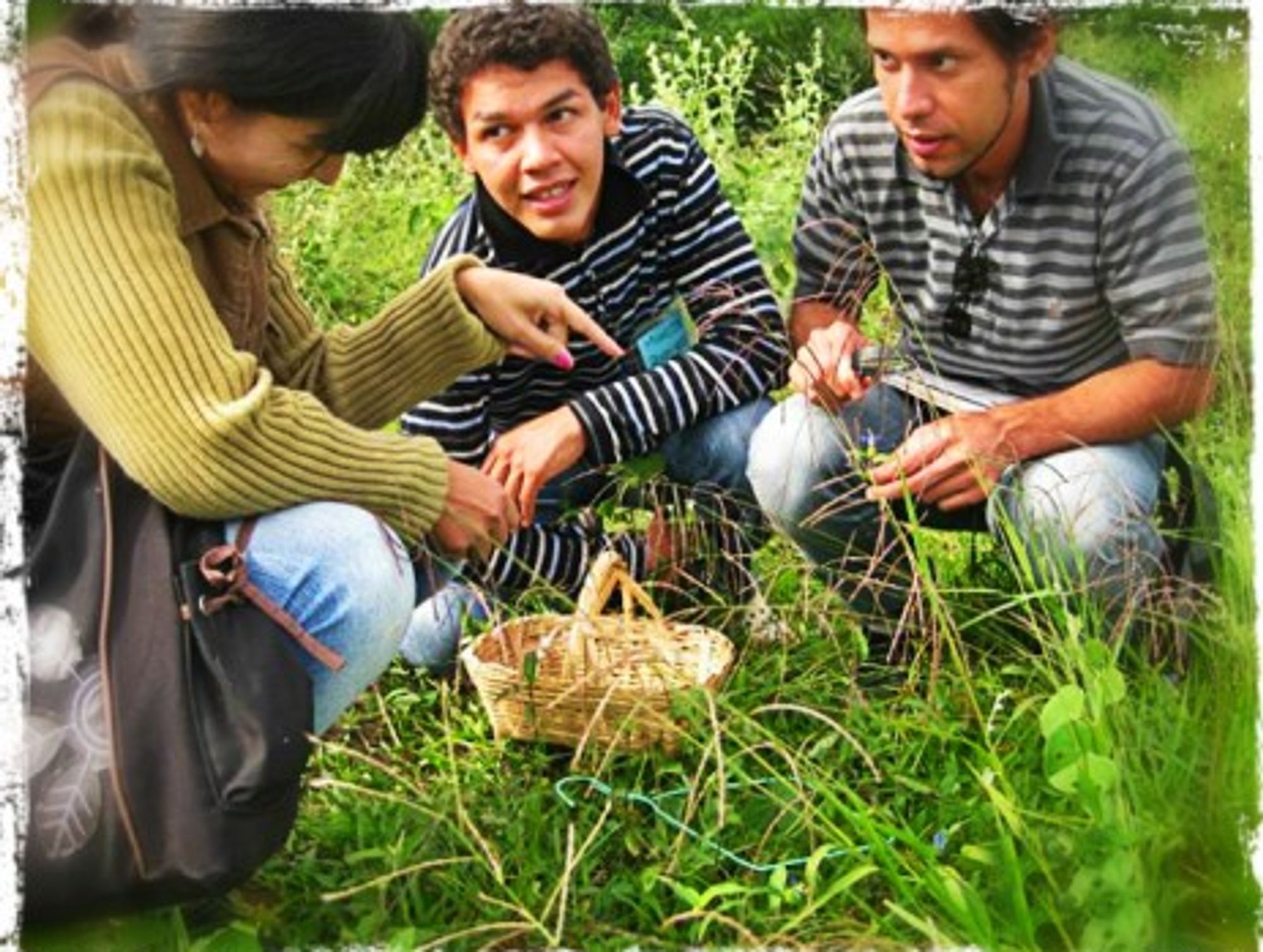 Projects to preserve medicinal plants are flourishing throughout the country