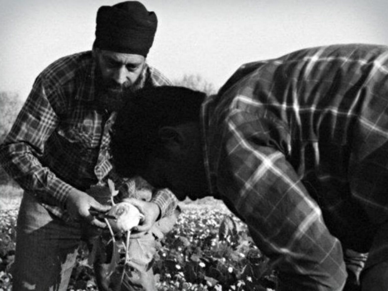 Punjabi workers in Latina, Italy