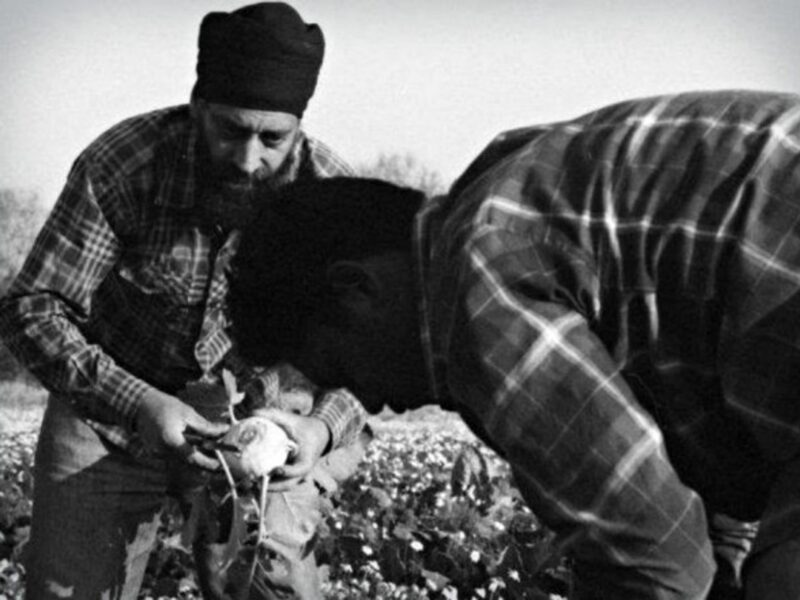 Punjabi workers in Latina, Italy
