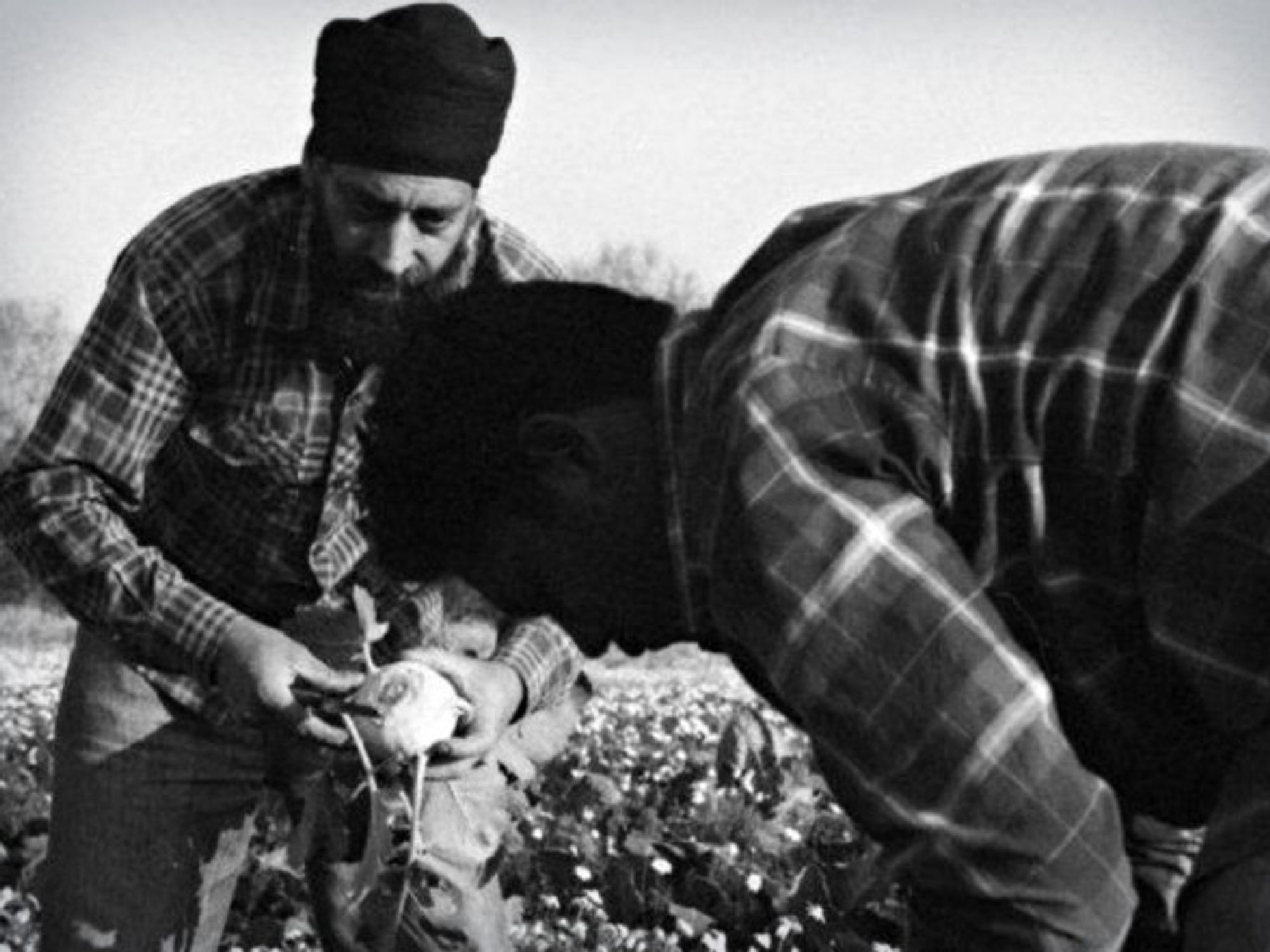 Punjabi workers in Latina, Italy