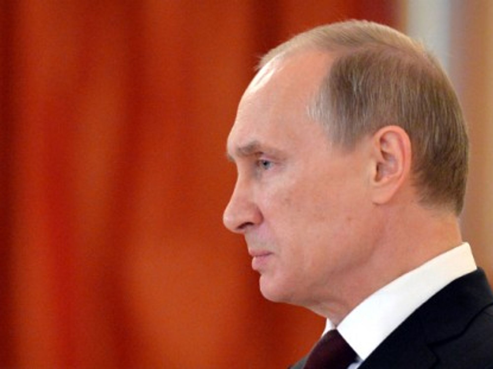 Putin in the Grand Kremlin Palace in Moscow, on June 27, 2014