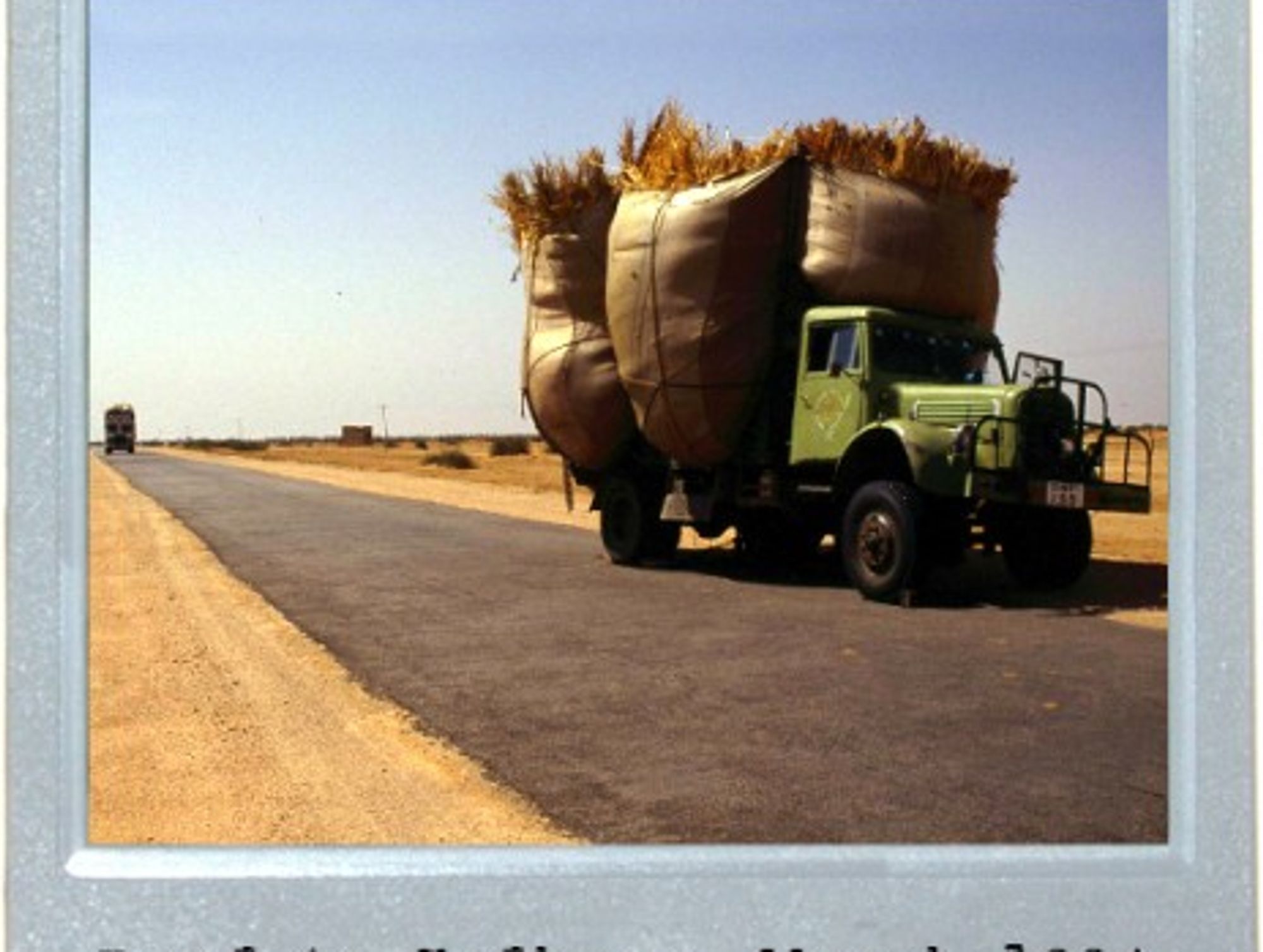 Rajasthan Road Rage