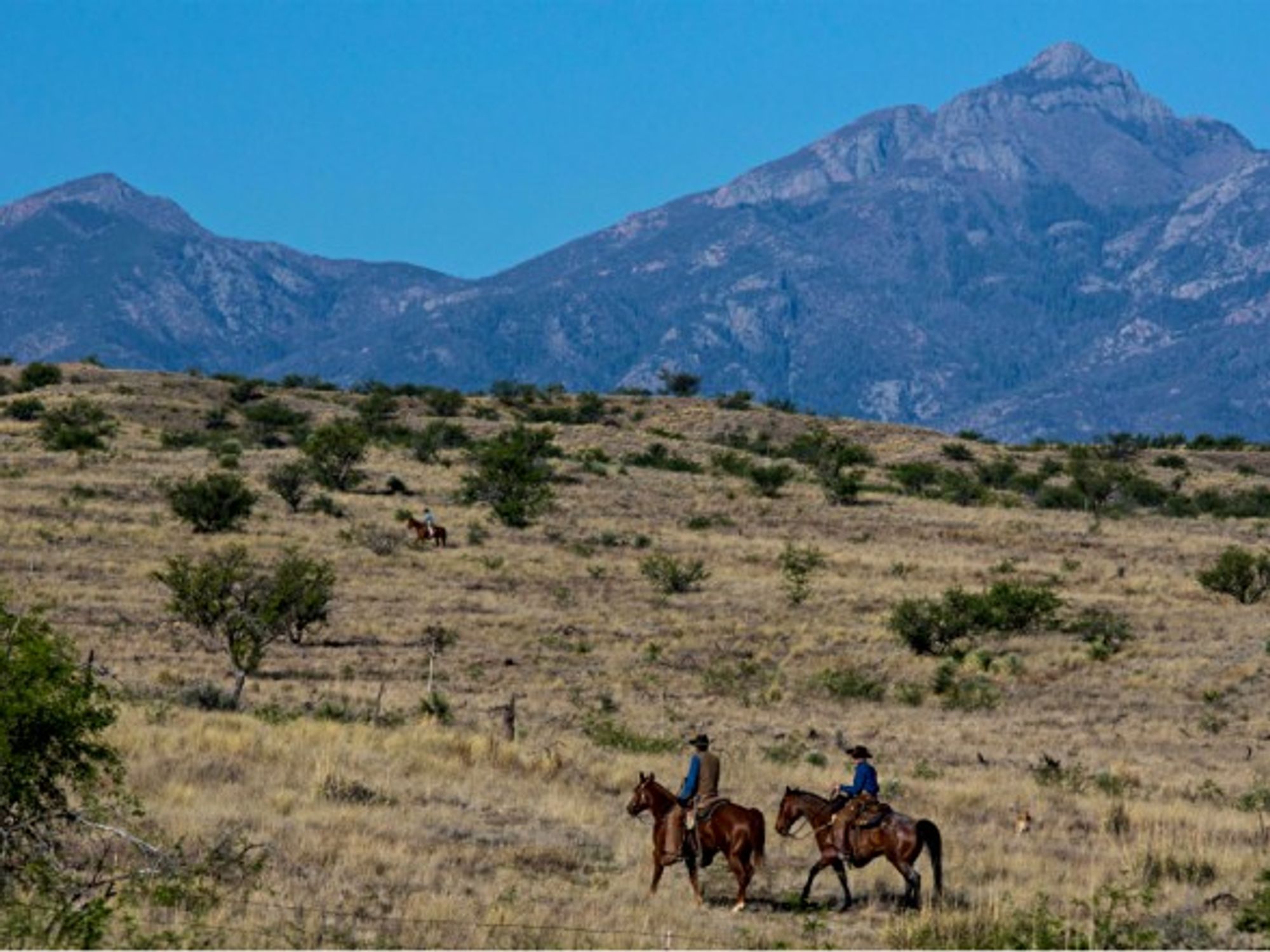 Ranchers ride horses on the outskirts of the arid Tucson
