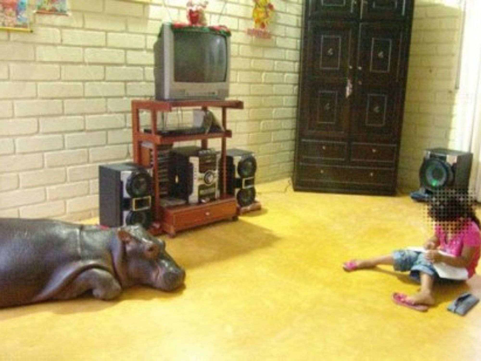 Remember Pablo Escobar's Hippos?