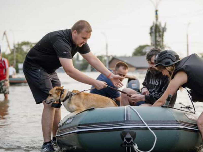 Rescue Operations Save Residents Of Ukraine's Flooded Kherson Region Following Kakhovka Dam Destruction