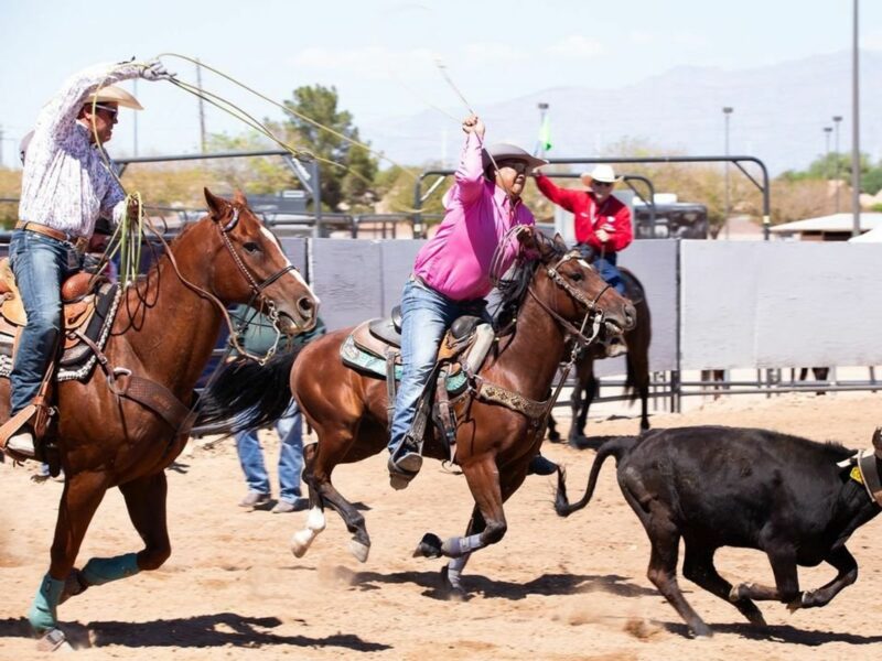 Riders with Pride participating in the Big Horn.