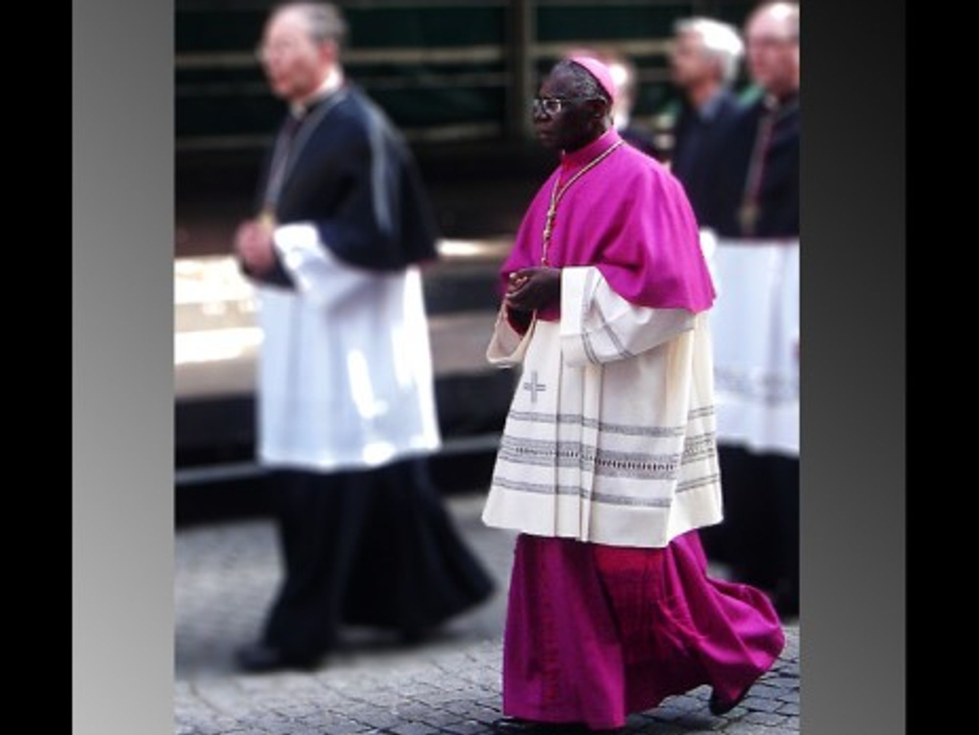 Robert Sarah's profile is "one of the most ideal for the papacy"