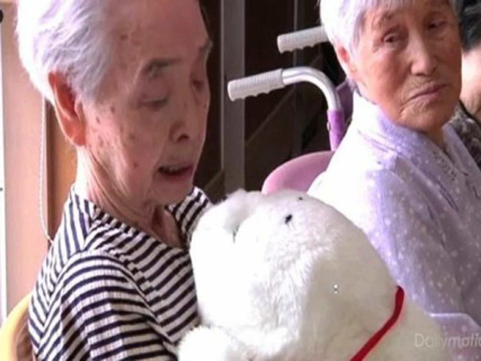 Robotic Seals Help Japanese Tsunami Victims