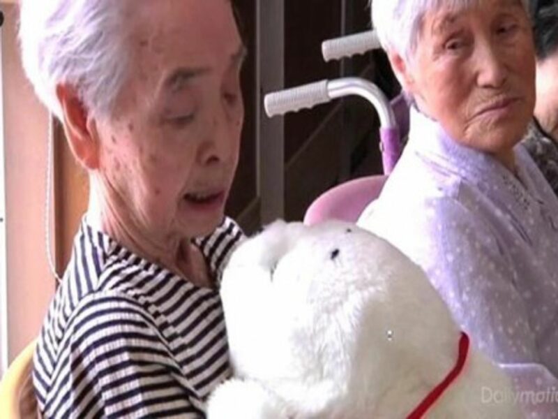 Robotic Seals Help Japanese Tsunami Victims