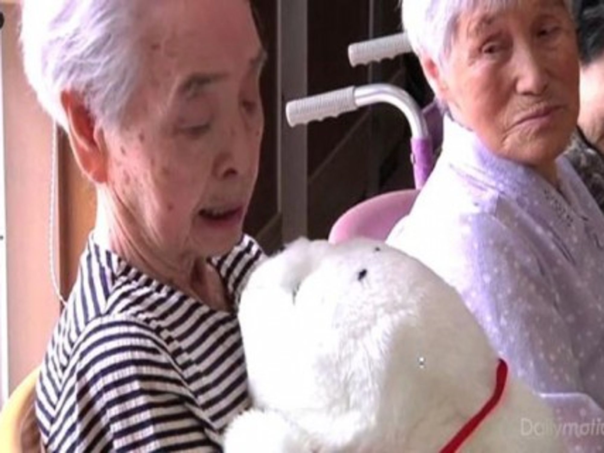 Robotic Seals Help Japanese Tsunami Victims