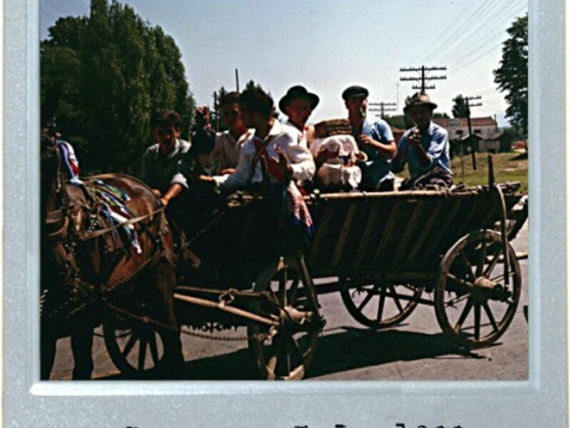 Romanian Ride