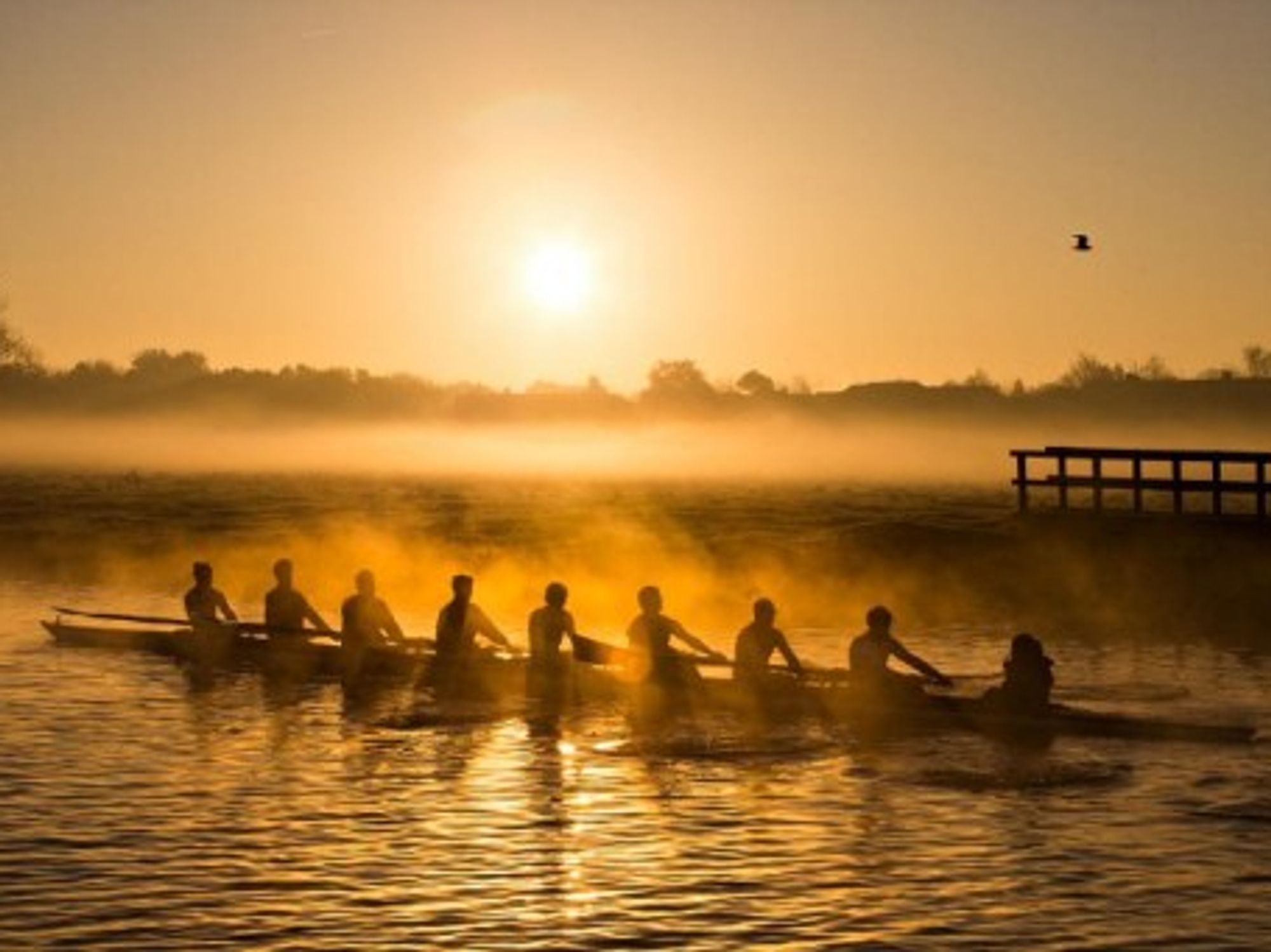 Rowing in Cambridge