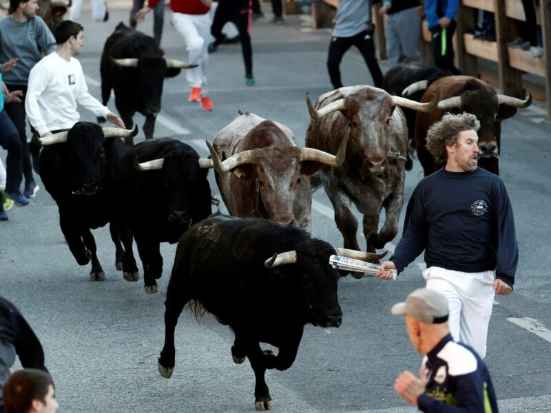 Sudan Coup, Drug Lord Busted, Bulls Are Back
