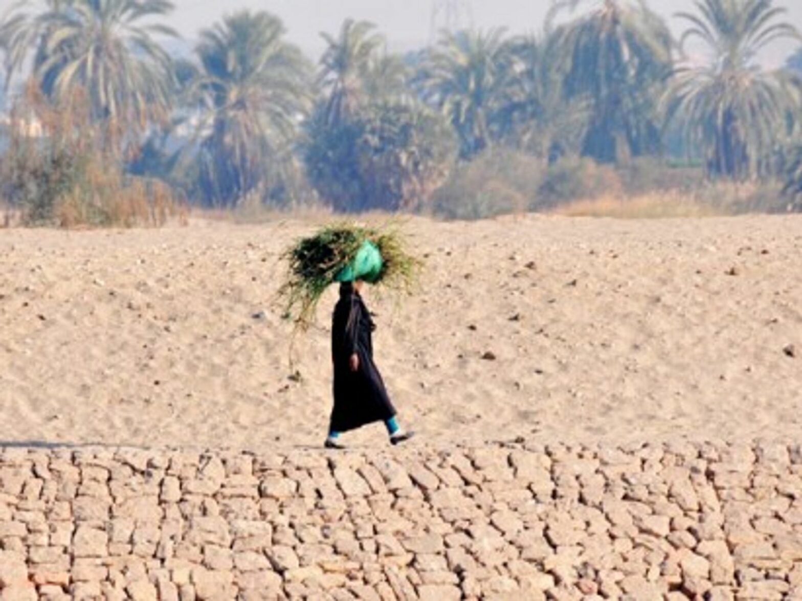 Rural parts of Egypt are still waiting for their 'Arab Spring'