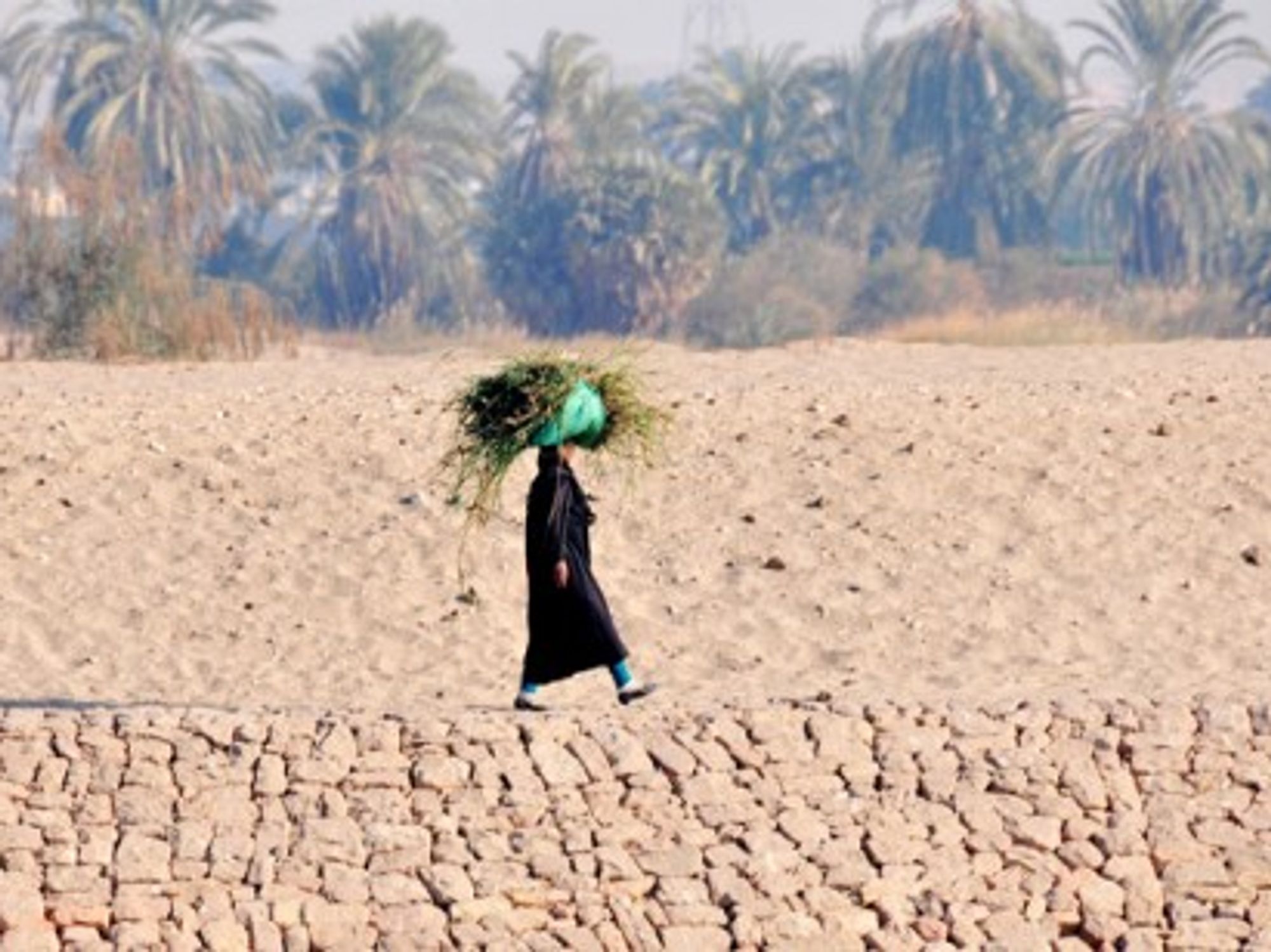 Rural parts of Egypt are still waiting for their 'Arab Spring'