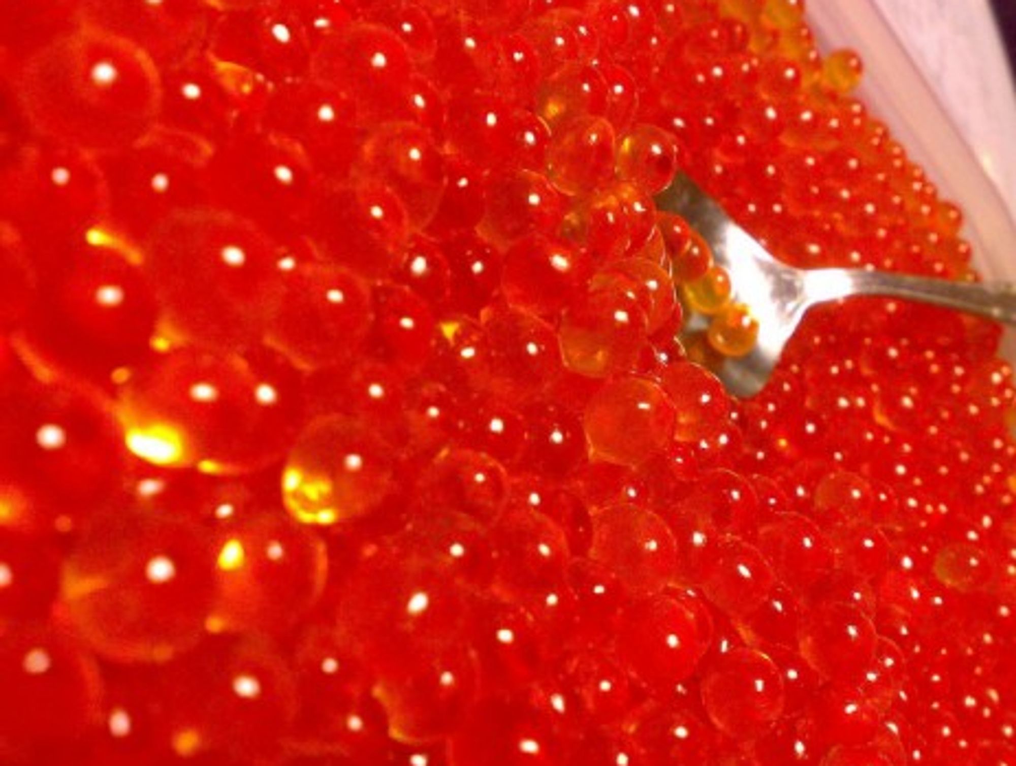Russia's red caviar industry is worth billions of dollars