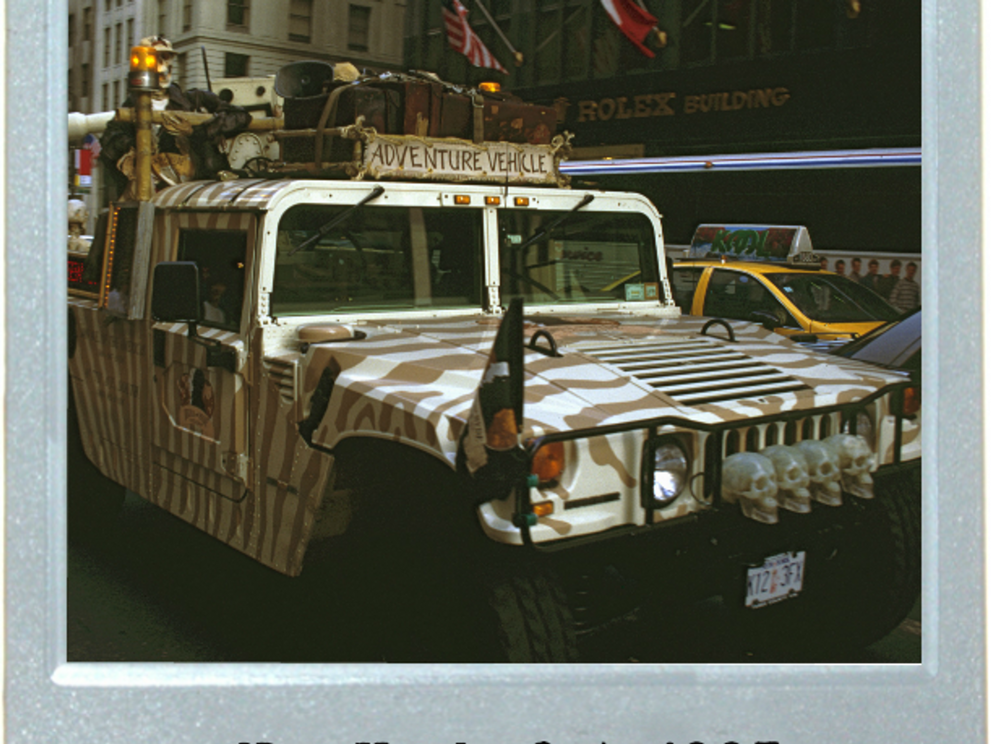 Safari On 5th Avenue
