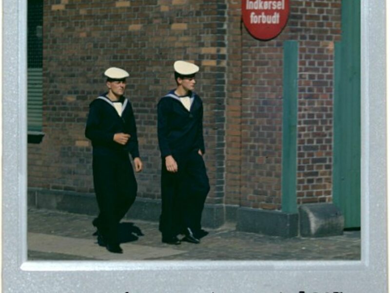Sailors And Ducks