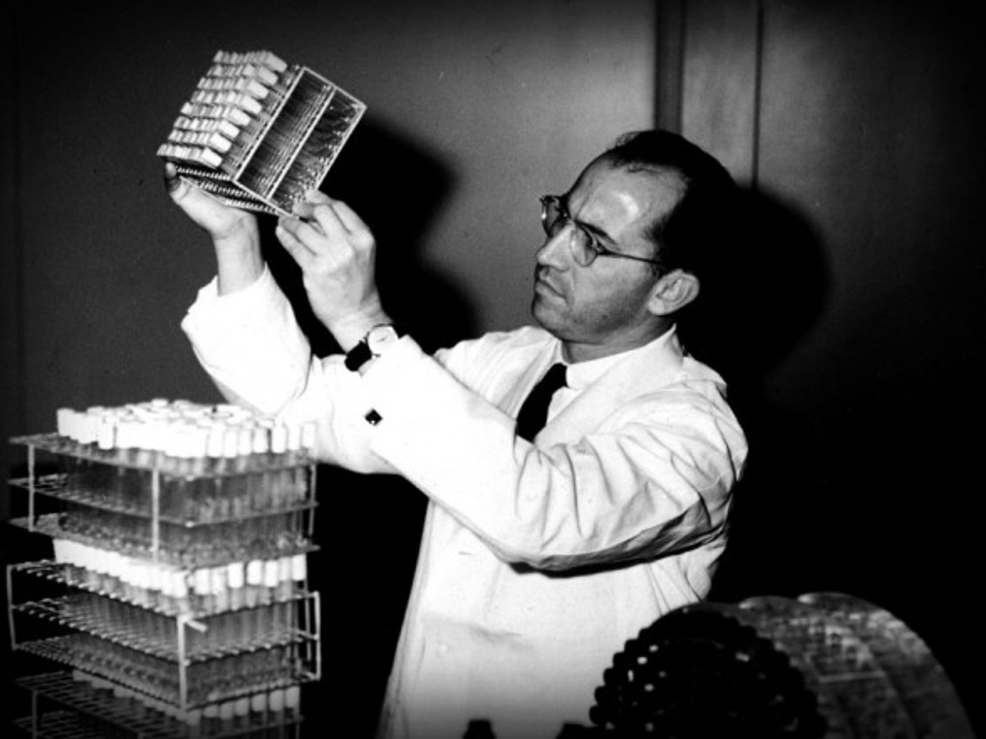 Salk in his laboratory